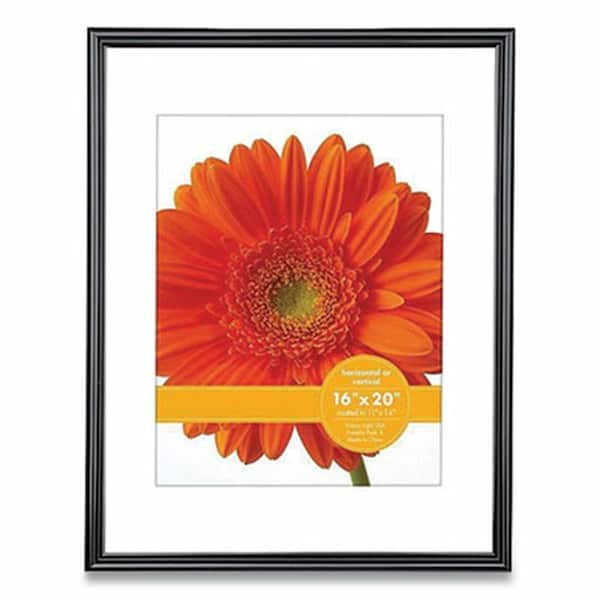 Pulvinar 16 x 20 in. Plastic Poster Frame, Black PU3744744 - main